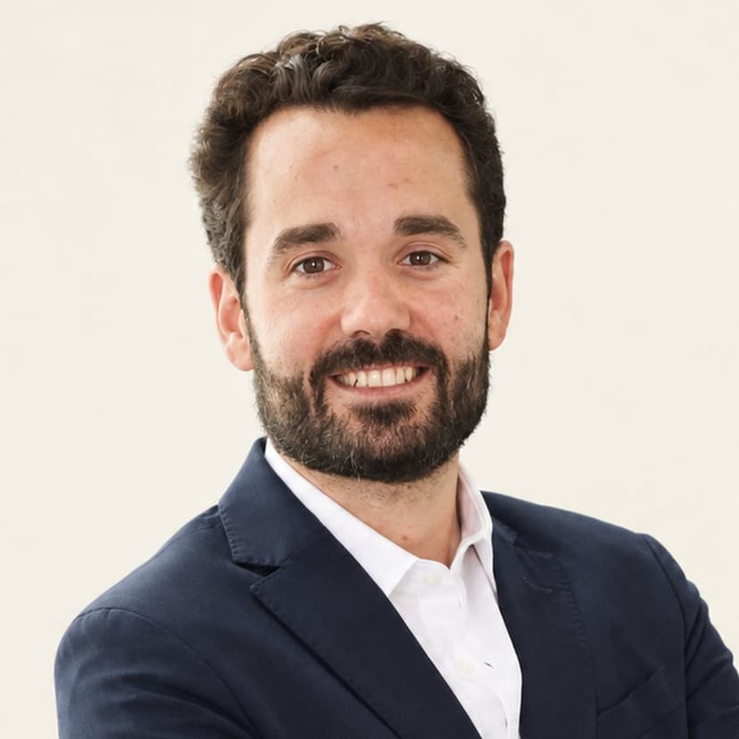 Alberto Ibáñez, Desarrollo institucional